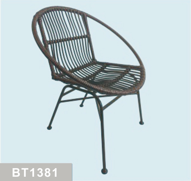 BT1381